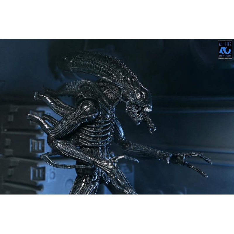 ALIENS 40EME ANNIVERSAIRE - Guerrier Alien Noir - Fig. Ultimate 23cm