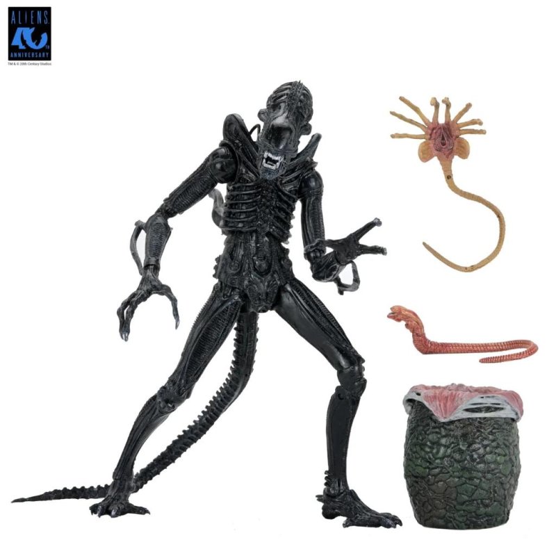 ALIENS 40EME ANNIVERSAIRE - Guerrier Alien Noir - Fig. Ultimate 23cm