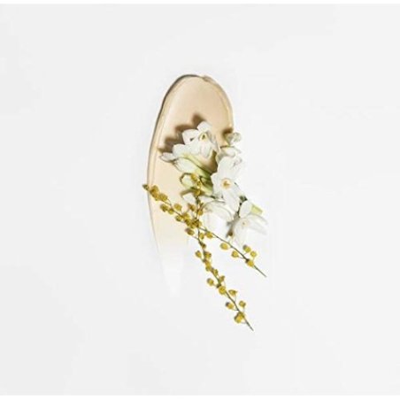 Chantecaille Gold Recovery Mask 50ml