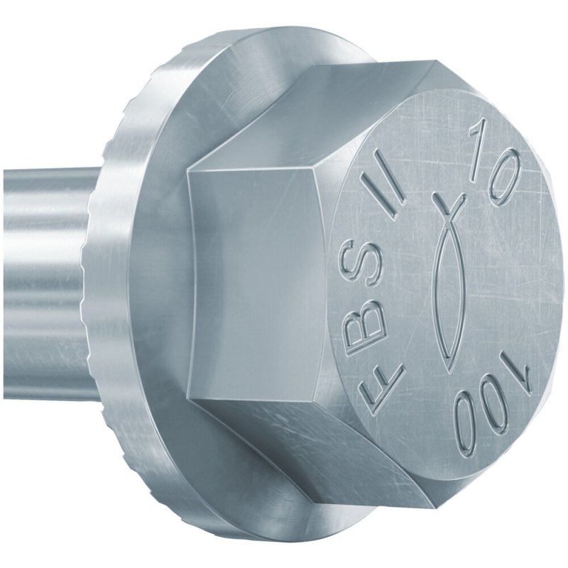Fischer 536865 screw/bolt 160 mm 50 pc(s)