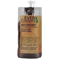 Dikson Everygreen Antioxidant Hair Treatment 100ml - Travel Size