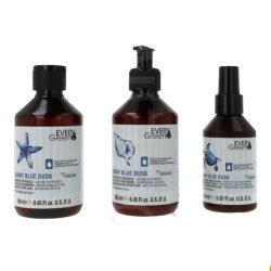 Dikson Every Green Sun Kit 2026 Shampoo Spray Conditioner