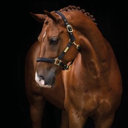 Hansbo Sport - Halter EQUESTRIAN LIFE - Full