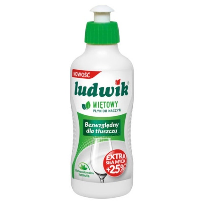 Ludwik Mint Dishwashing Liquid 250g