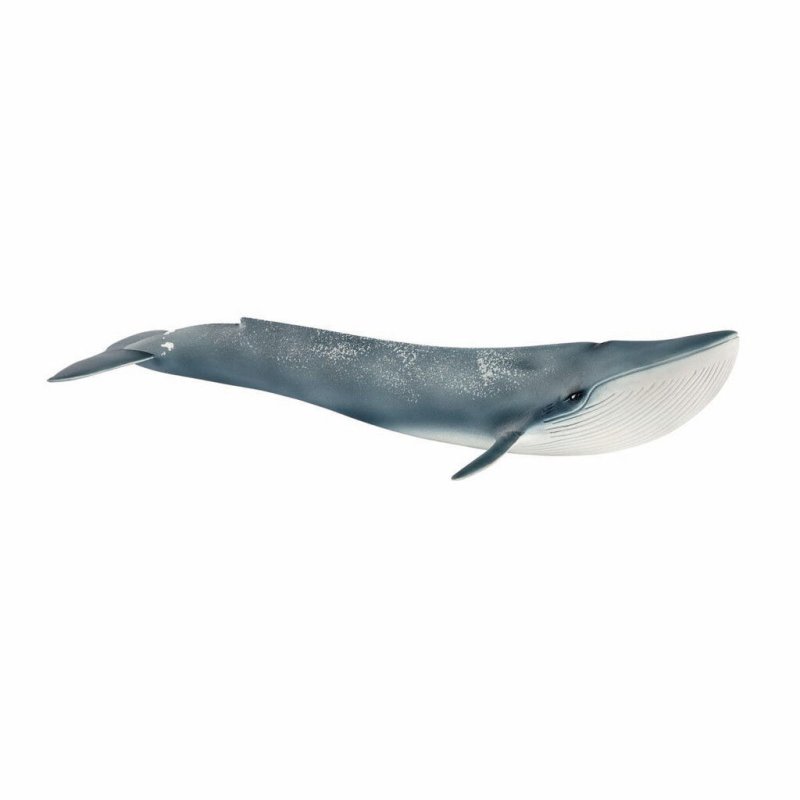 Schleich Wild Life Blauwal | 14806