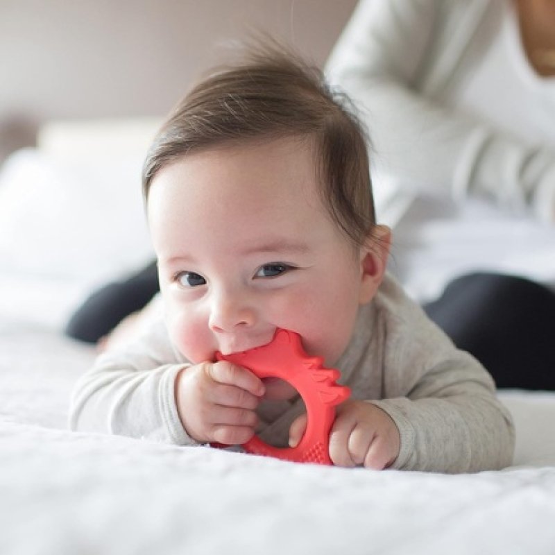 Dr. Brown's Flexees Friends Teether Fox Red Fox