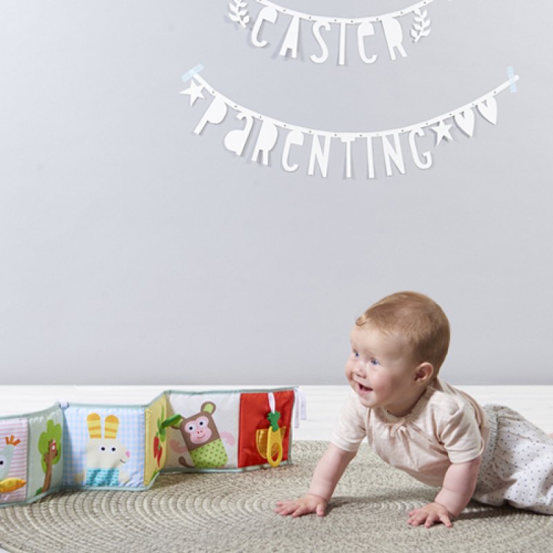 Taf Toys 3 in 1 baby book