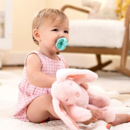 Munchkin Wildlove Koala Sili-Soothe & Teether Silicone Soother