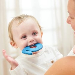 Nattou Silicone Whale Teether BPA-Free Approx. 9cm