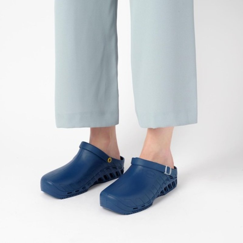 Scholl Evomedical Professional Clog 75 Uk Azzurro