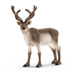 Schleich - Wild Life - Reindeer (14837)