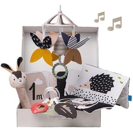 Taf Toys Black & White Newborn Gift Set 10 High Contrast Baby Toys