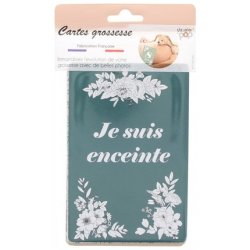 Color Pop Step-By-Step Pregnancy Cards Collection