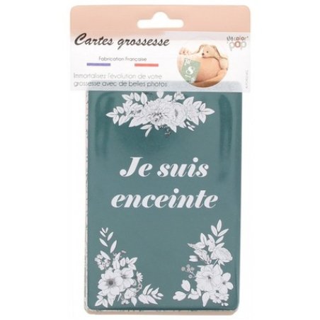 Color Pop Step-By-Step Pregnancy Cards Collection