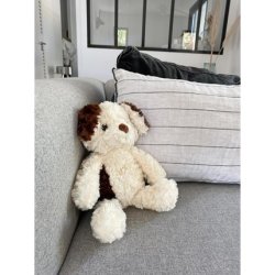2-In-1 Cuddle Hot Water Bottle Plush Dog for Baby and Child