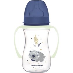 Canpol Babies Sleepy Koala Easy Start Anticolic Bottle