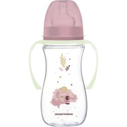 Canpol Babies Sleepy Koala Easy Start Anticolic Bottle 300ml