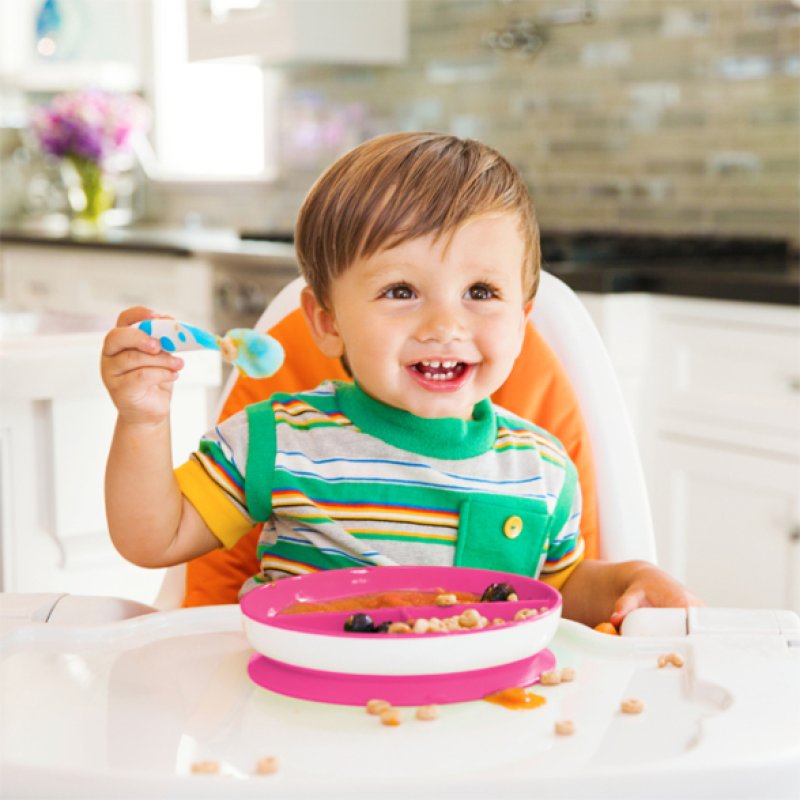 Munchkin Stay Put Suction Plate 6 mois Multicolore