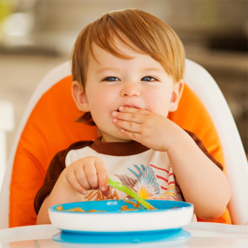Munchkin Stay Put Suction Plate 6 month(s) Multicolour