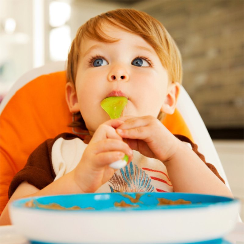 Munchkin Stay Put Suction Plate 6 mois Multicolore