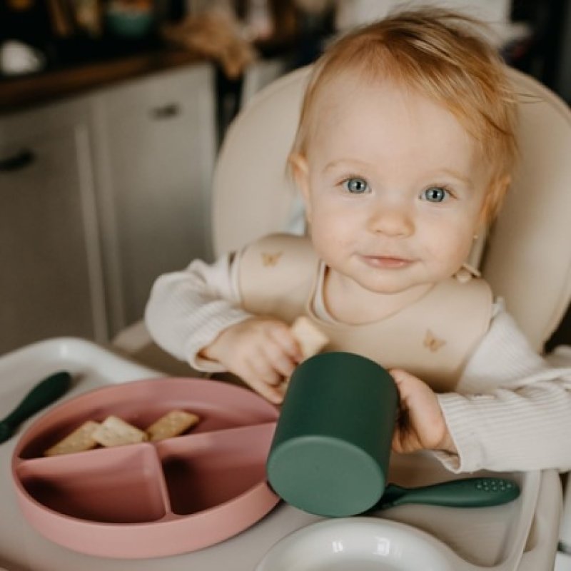 Petite&Mars Silicone Dinnerware Set for Children with Suction Cup - BPA-Free