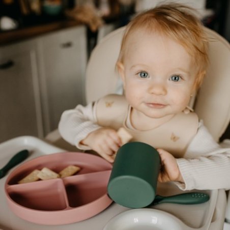 Petite&Mars Silicone Dinnerware Set for Children with Suction Cup - BPA-Free