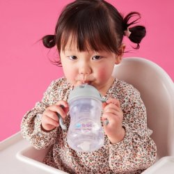 Bbox Sippy Cup Drink From Any Angle Flip Top Weighted Straw Leak Proof