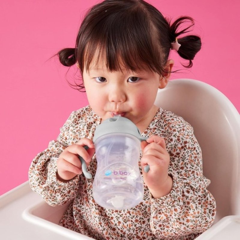 Bbox Sippy Cup Drink From Any Angle Flip Top Weighted Straw Leak Proof