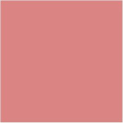 Lancôme Blush Subtil Reno 541 56g