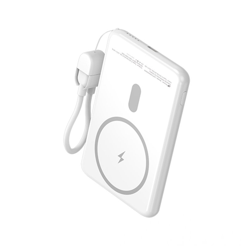 Leotec LEPOWW20W5W banque d'alimentation électrique Lithium Polymère (LiPo) 5000 mAh Recharge sans fil Blanc
