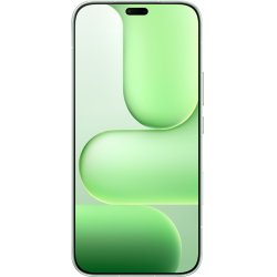 Honor 600 Lite 16.8 cm (6.6 ) Dual SIM Android 16.0 5G USB Type-C 8 GB 256 GB 6520 mAh Green