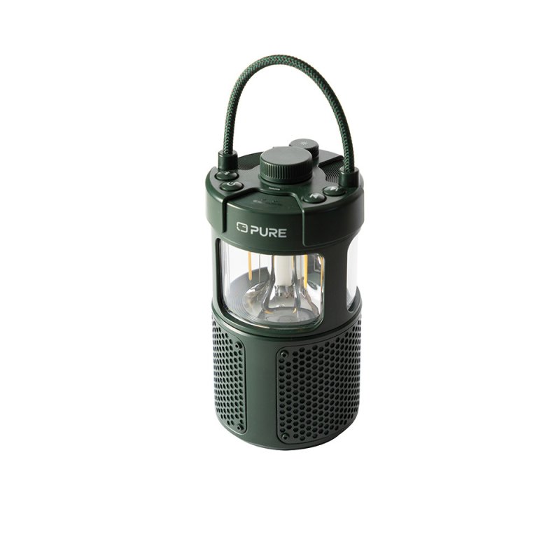 Pure 252584 portable/party speaker Green 20 W