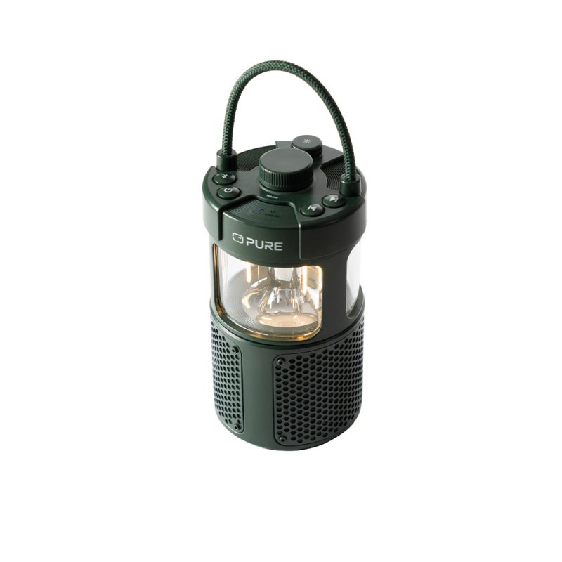 Pure 252584 portable/party speaker Green 20 W