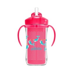 Dr Brown's Insulated Straw Cup 300ml