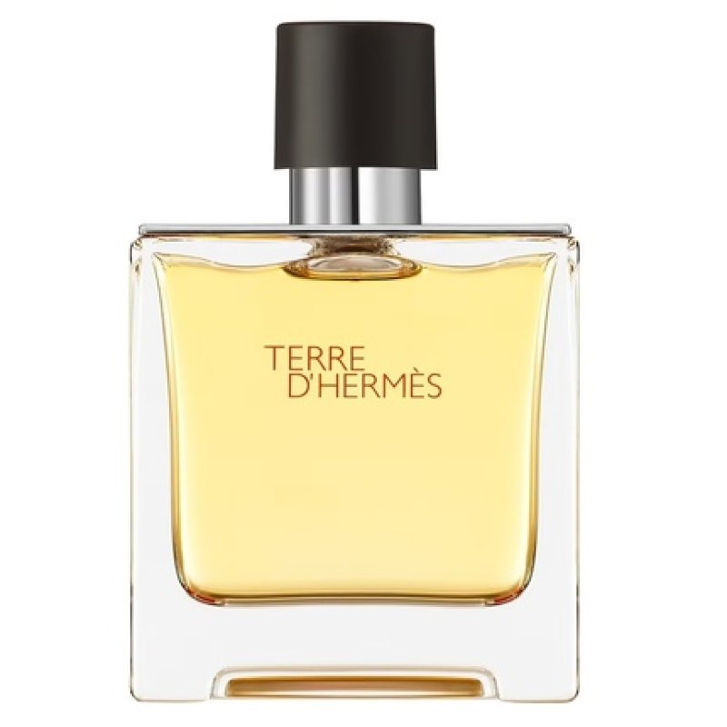 Hermes Terre D Hermes, Eau de Parfum, 75ml, Barbati, Tester