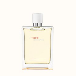 Hermes Terre Dhermes Eau Tres Fraiche Eau De Toilette 125ml Men Spray