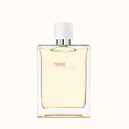 Hermes Terre Dhermes Eau Tres Fraiche Eau De Toilette 125ml Men Spray