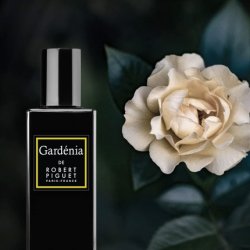 Robert Piguet Gardenia Eau de Parfum Spray for Women 3.4 fl oz