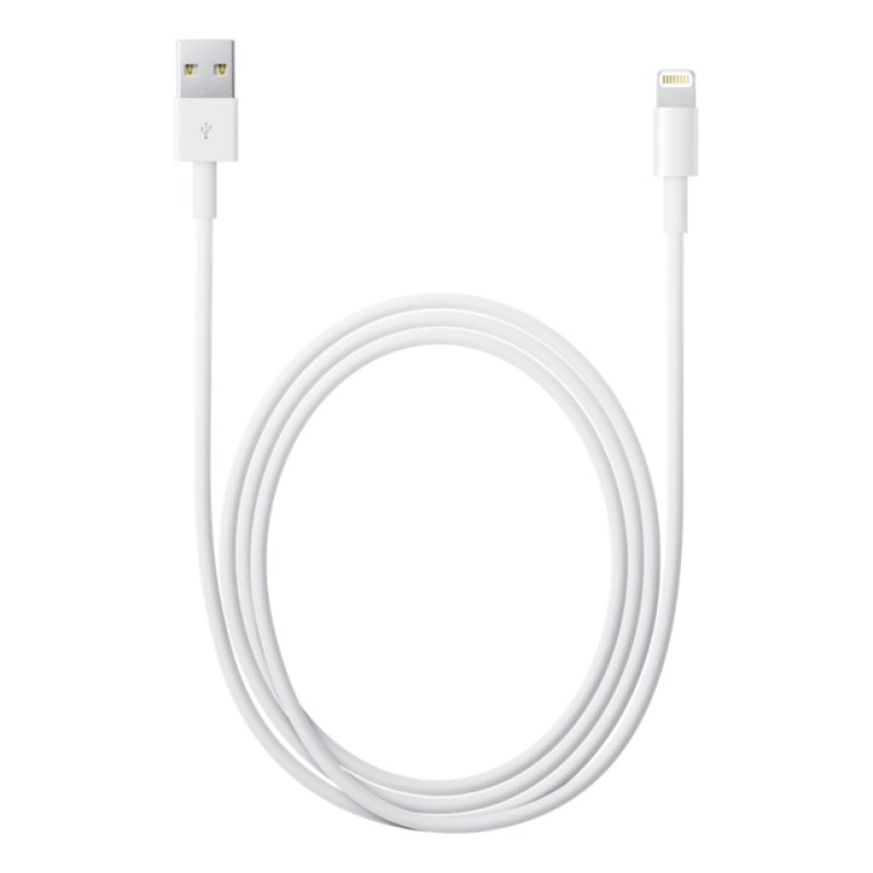 Apple MD818ZM/A câble Lightning 1 m Blanc