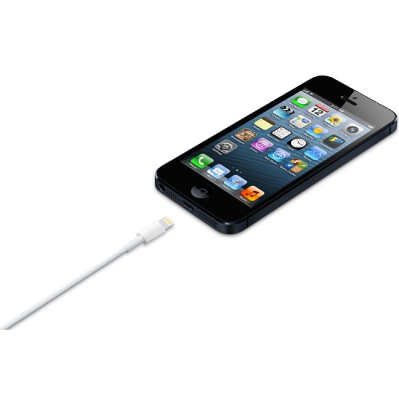 Apple MD818ZM/A câble Lightning 1 m Blanc
