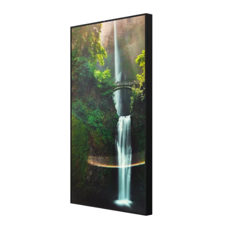Hisense 55 Zoll Window Facing - High Brightness Display 4000 Nits