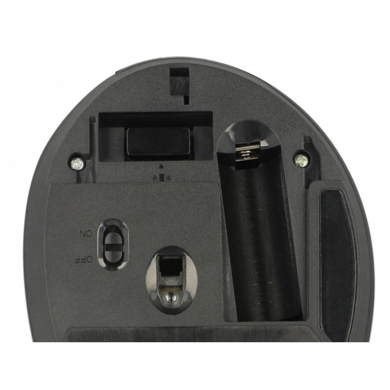DeLOCK 12599 souris Bureau Droitier RF sans fil 1600 DPI