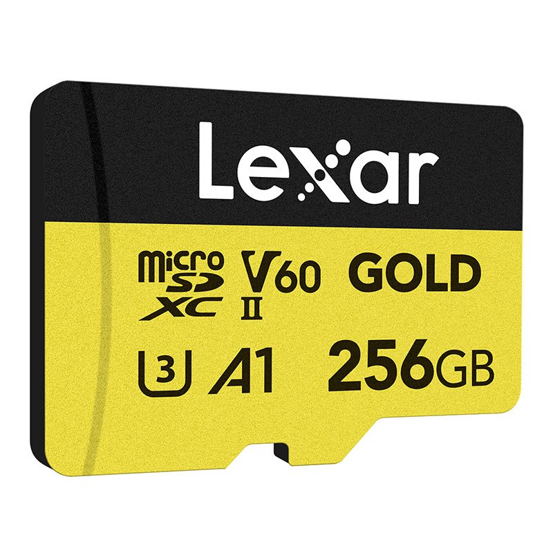 Gold - Micro SD 256Go V60