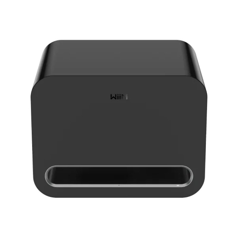 WiiM LPWISUBPB Sub Pro Aktiver Subwoofer , schwarz