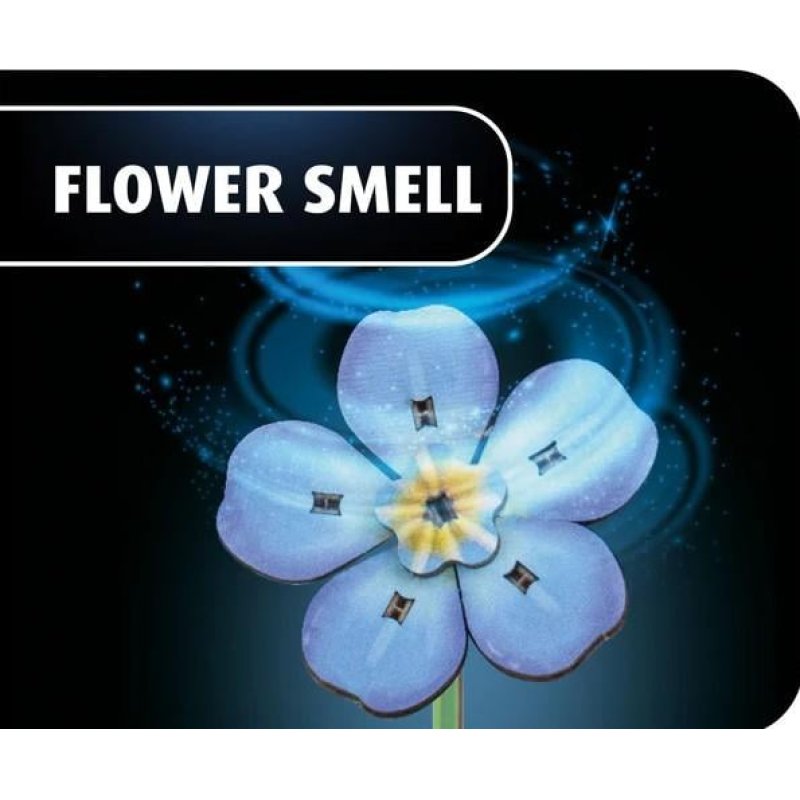 Blossom Festival Holzblumen (holz)
