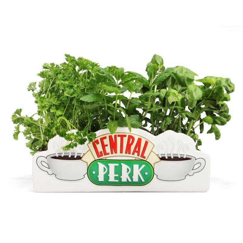 FRIENDS - Central Perk - Pot de fleurs / Vase de table