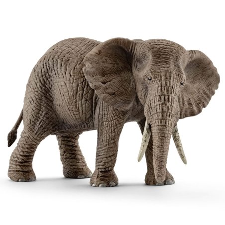 Wild Life Afrikanische Elefantenkuh