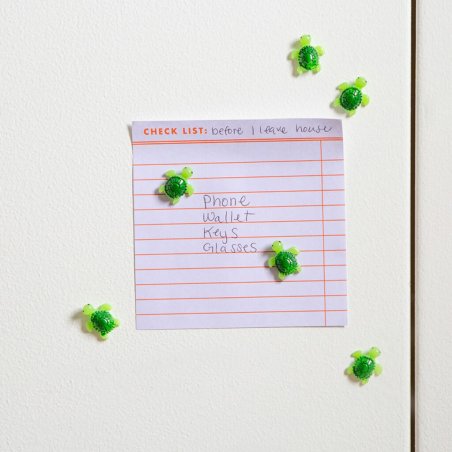 Kikkerland - Baby Turtle Magnets (MG97)