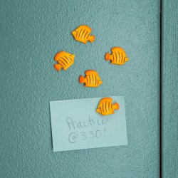 Kikkerland - Fish Magnets