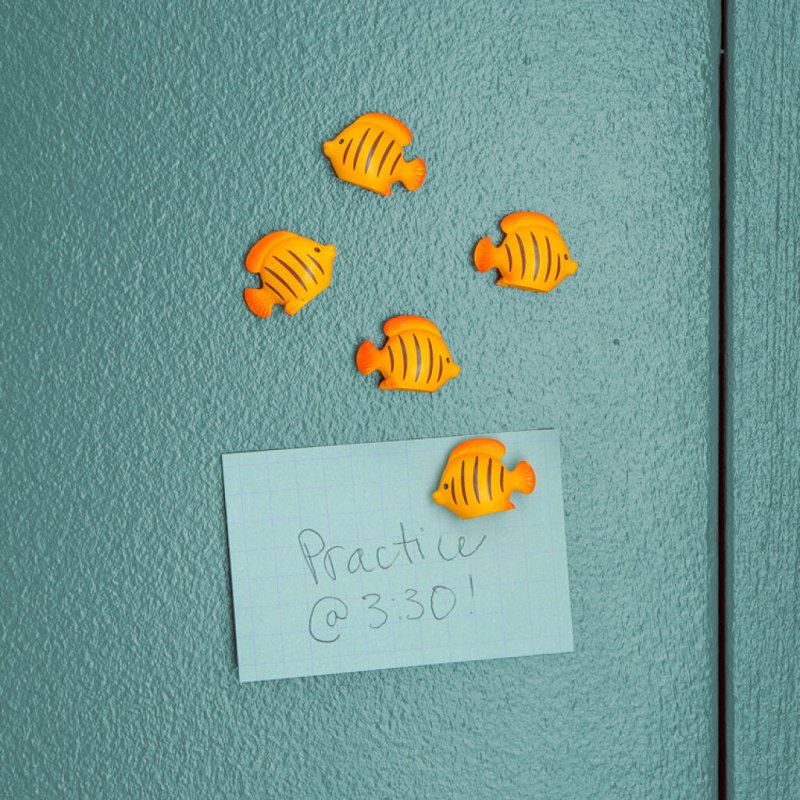 Kikkerland - Fish Magnets